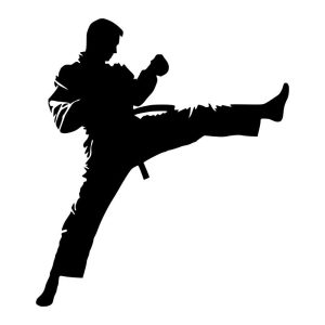 Martial Artist Push Kick Vinyl Decal Sticker Art