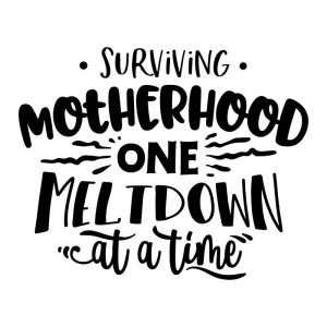 Surviving Motherhood One Meltdown Vinyl Decal Sticker Art